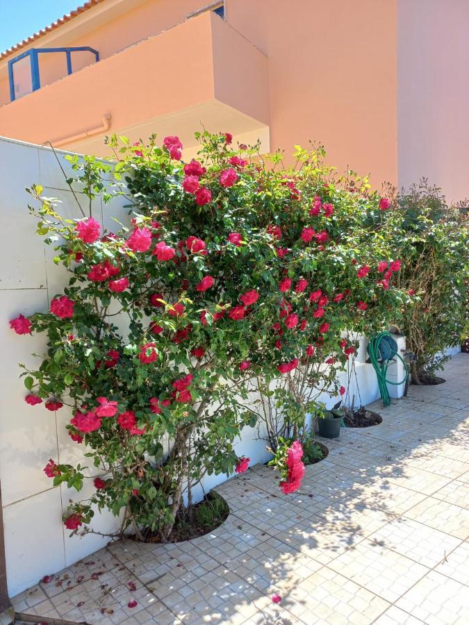 Casa Do Portao Azul - Salmonete Daire Atouguia Da Baleia Dış mekan fotoğraf
